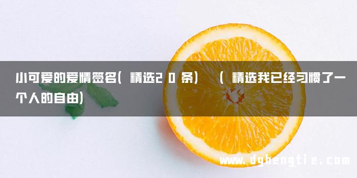 小可爱的爱情签名（精选20条） （精选我已经习惯了一个人的自由）